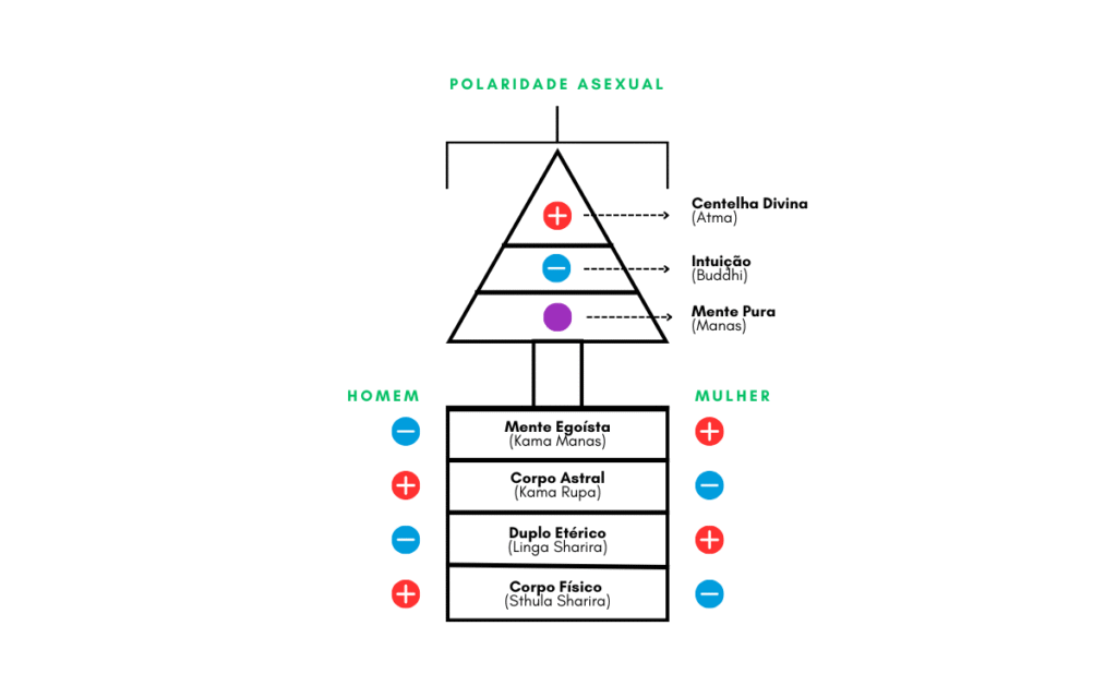 constituição septenária e polaridade
